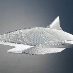 Francis Chabloz : suspension Shark Francis Chabloz : suspension Shark