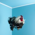 Quick Dose of Inspiration #21 : blue, blue, blue !