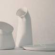 Charlotte Juillard : Morphosis