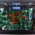 Zim&Zou for Hermès : The Eternal Jungle