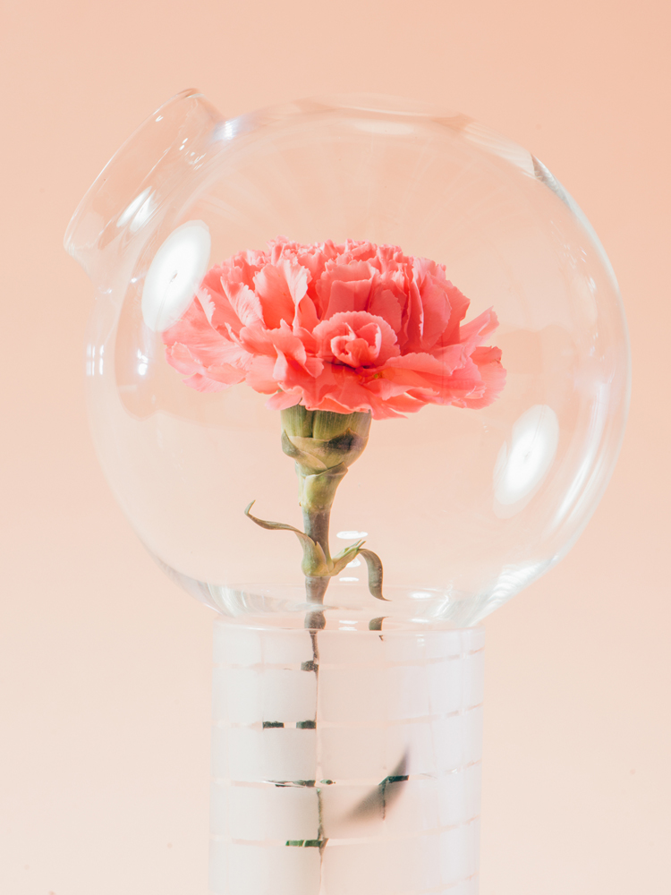 #vase #flower #pink // Olfattorio by Cristina Celestino | Flodeau.com 